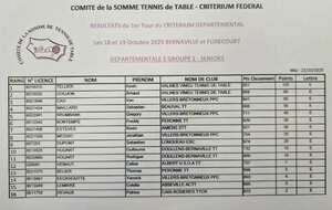 Départementale 2 ( Groupe 1) Séniors