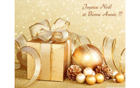 Joyeuses fêtes et bonne année 2018